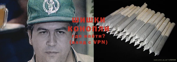 молекула духа Валдай
