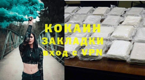 мдпв Богородицк