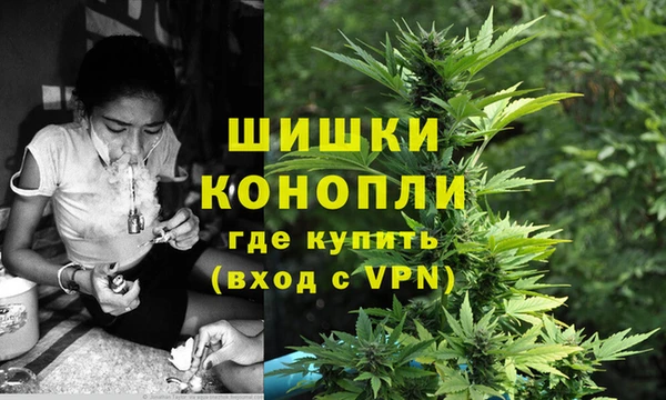 винт Белокуриха