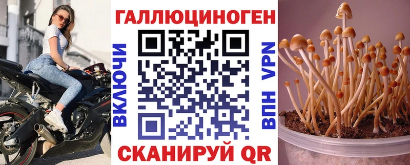 закладка  KRAKEN маркетплейс  Псилоцибиновые грибы Psilocybine cubensis  Очёр 
